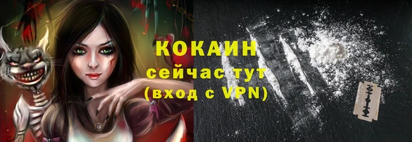 дживик Володарск