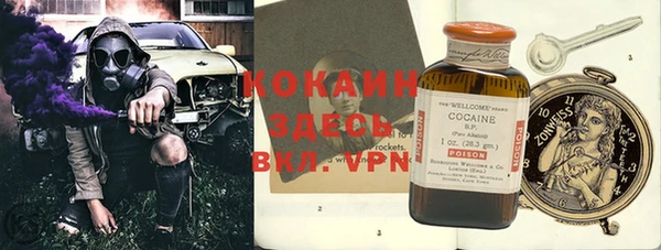 дживик Володарск